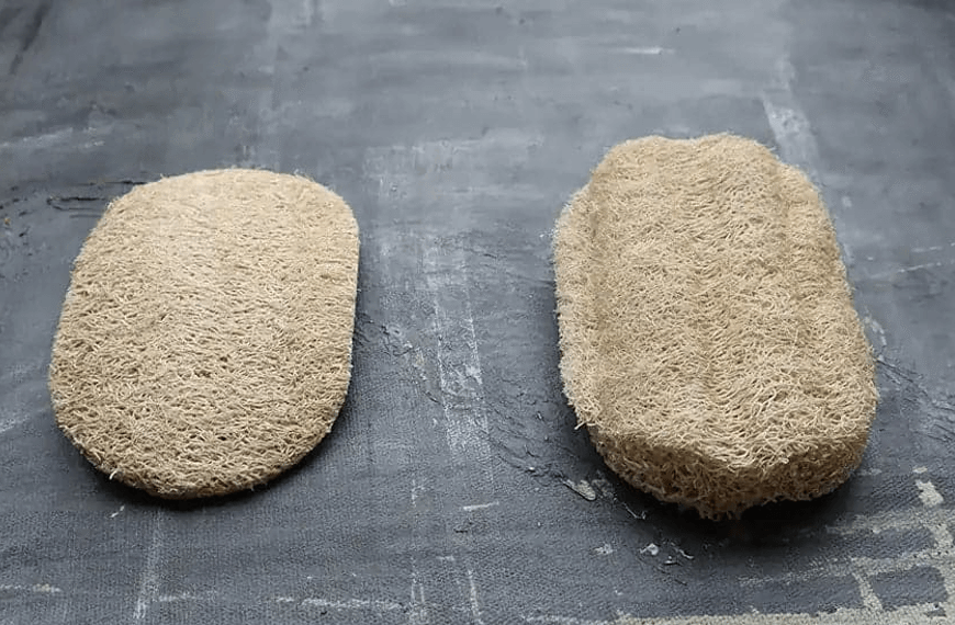 The Advantages of Using a Loofah Dishwashing Sponge in Your Kitchen