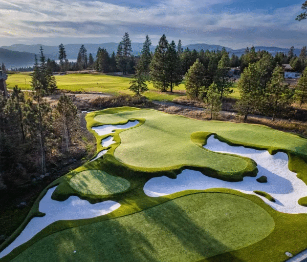 How to Design the Perfect Pebble Beach Putting Green at Home